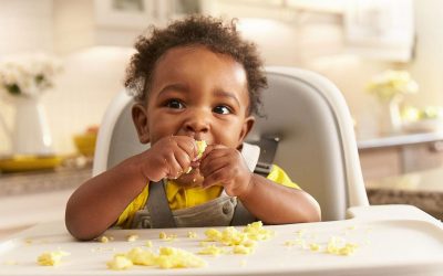 Eggs and early childhood allergies