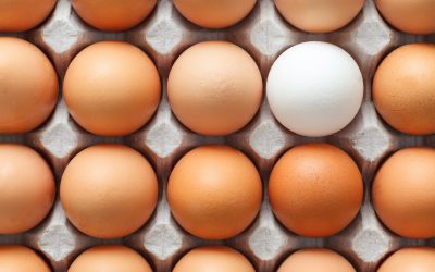 New US Guidelines Recommend Eggs for Babies