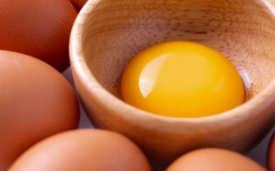 Uses for egg yolk