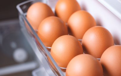 Ensuring Food Safety in Eggs: A Crucial Priority