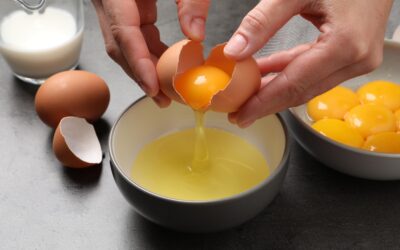 Egg Yolk Phospholipids & Brain Health