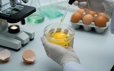 The Invisible Role of Eggs in Non-Food Products