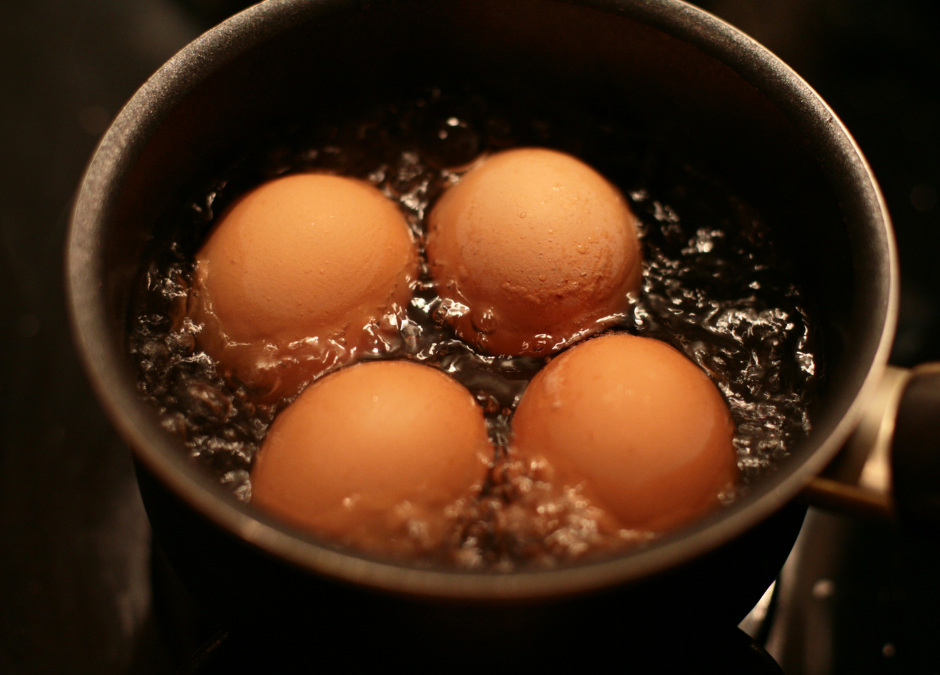 Boost Your Immunity This Winter with the Power of Eggs