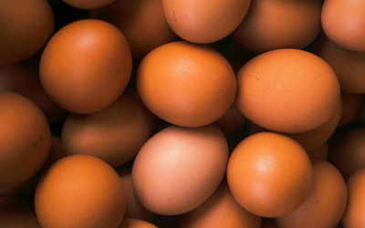 What Makes a Quality Egg?